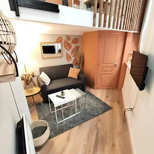 Appartement Le Lanternier - Hypercentre Les Quais - Netflix, Toulouse