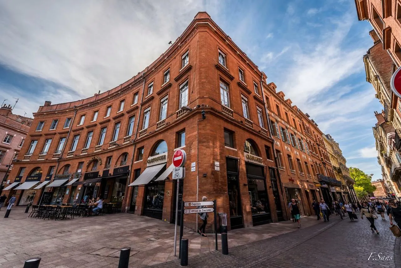 Appartement ★ Le Majorelle ★ St Georges Hypercentre ★ Netflix Toulouse